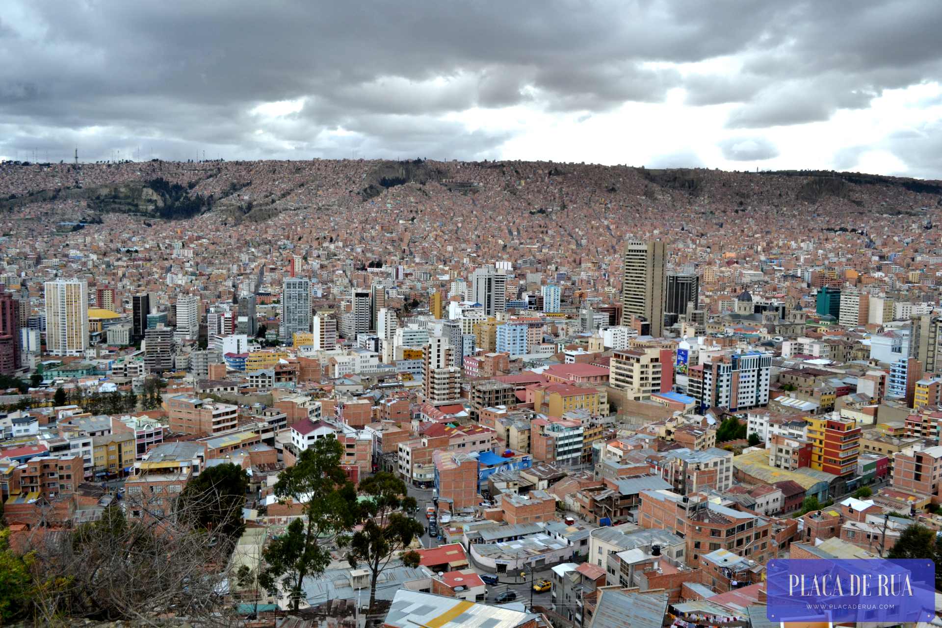 Cobrinha Medellin