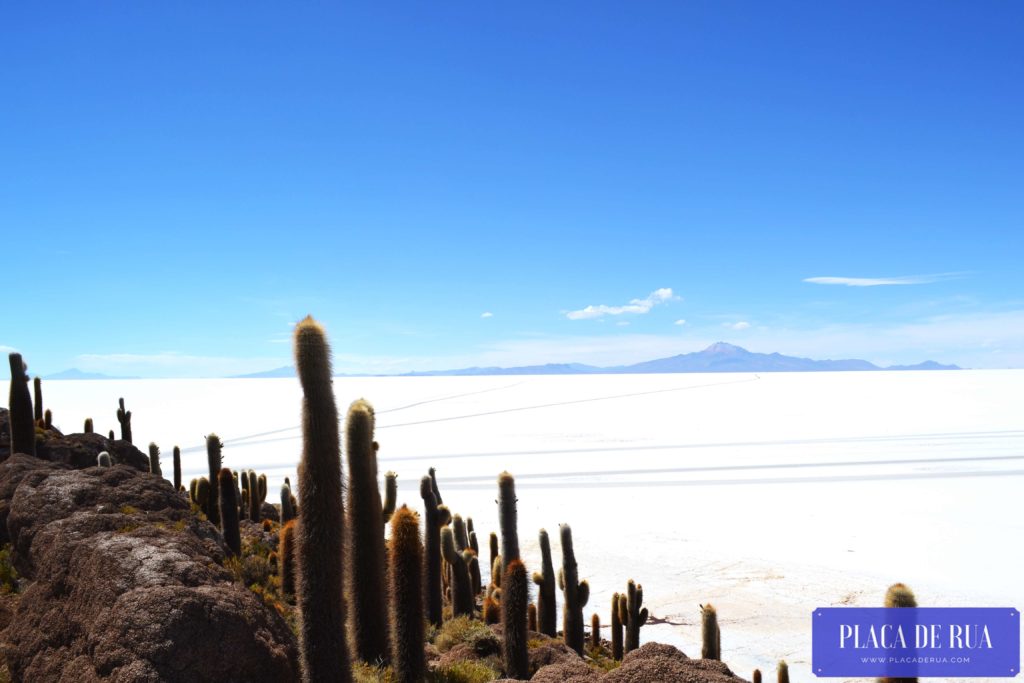 Isla Incahuasi no Salar do Uyuni